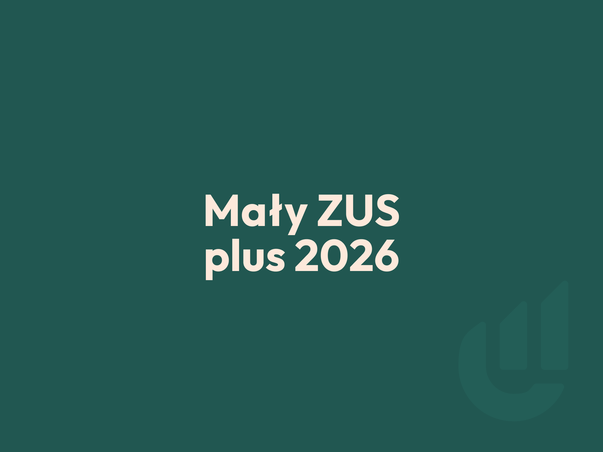 edk consulting maly zus plus