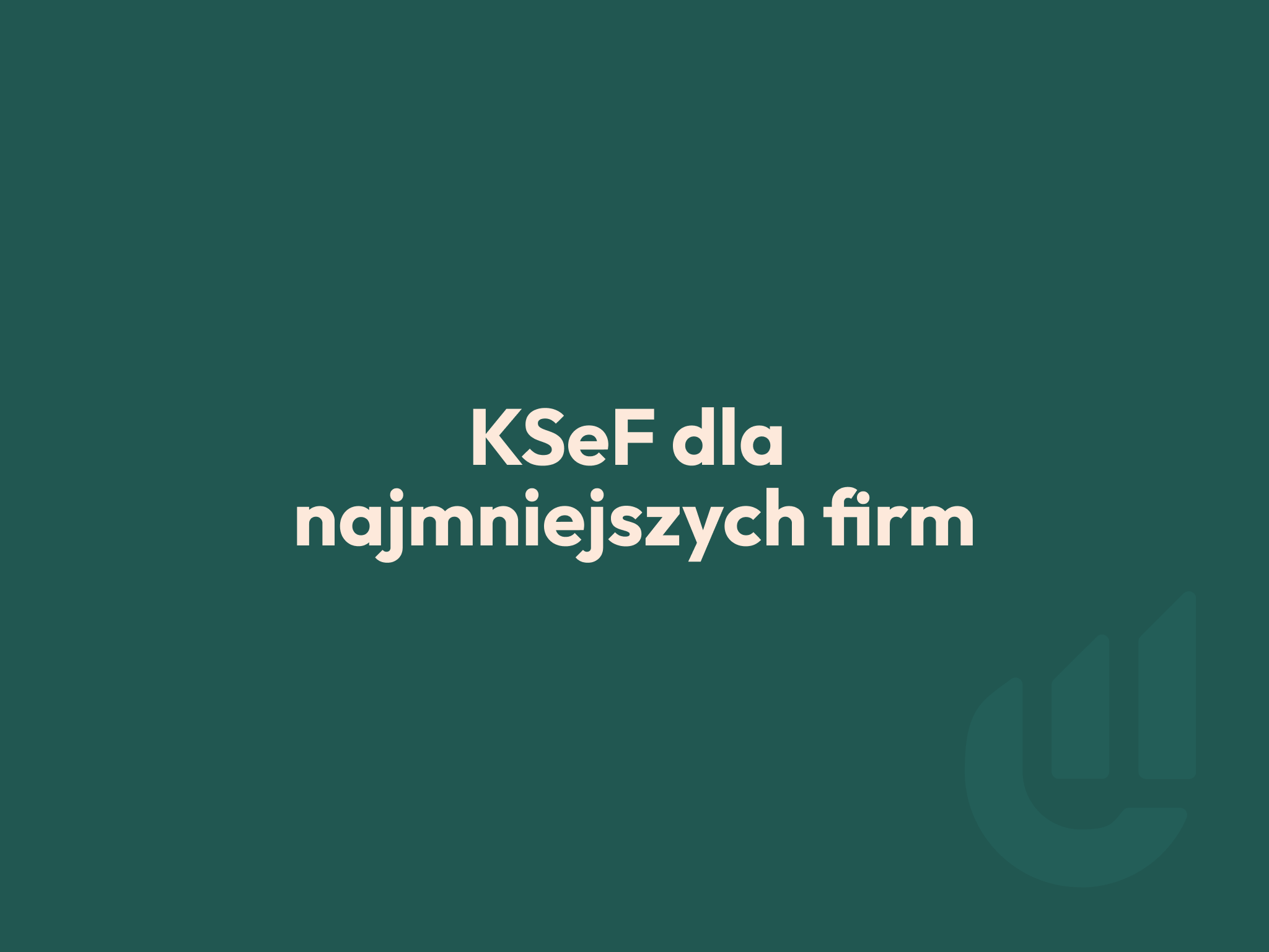 ksef dla najmniejszych firm